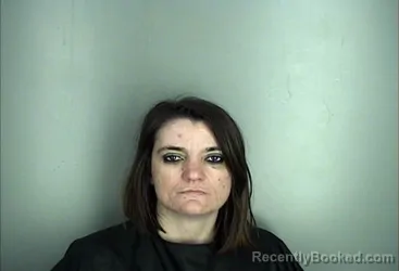 Mugshot of JESSICA VAUGHN TOLSON