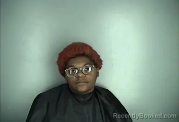 Booking photo from Greenwood County, South Carolina