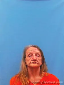 Mugshot of Kim Brackin