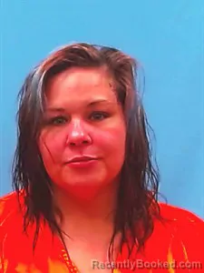 Mugshot of Haley Nicole Mcham