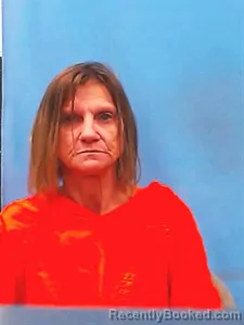 Mugshot of Michelle Nipps