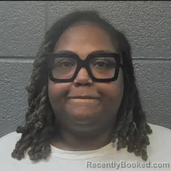 Booking photo from Danville County, Virginia