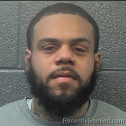 Booking photo from Danville County, Virginia