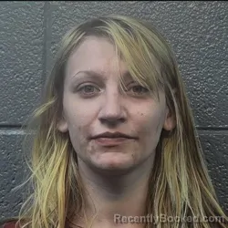 Mugshot of DESIREE ANN FOWLER