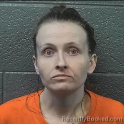 Mugshot of BARBARA ANN GIBBS-DODSON