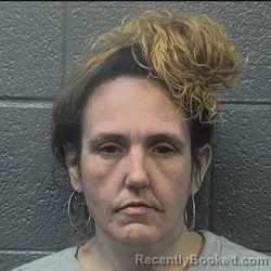 Mugshot of SARAH RENEE MILLS