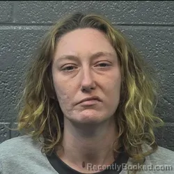 Booking photo from Danville County, Virginia