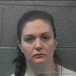 Booking photo from Danville County, Virginia