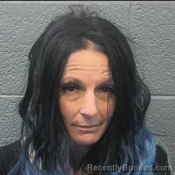 Booking photo from Danville County, Virginia