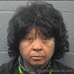 Booking photo from Danville County, Virginia
