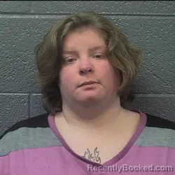 Mugshot of JENNIFER DAWN LEE