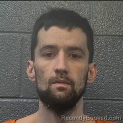 Booking photo from Danville County, Virginia