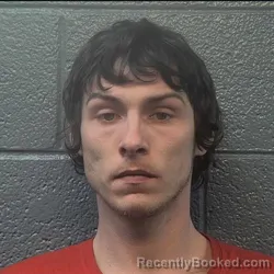 Mugshot of WILLIAM ROBERT FURR