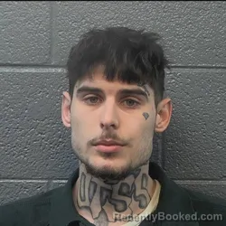 Mugshot of Jerry Lynn Gibson