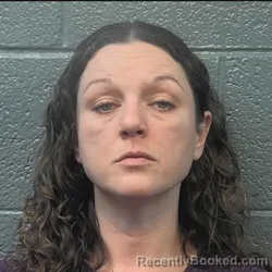 Mugshot of AMANDA LOUANN FULTON