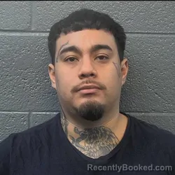 Mugshot of Alexis Nmn Buitrago