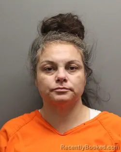 Mugshot of DOVIE LORI CASTILLO