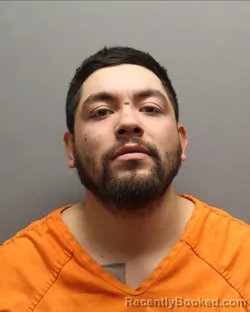 Mugshot of LIONAL PEREZ