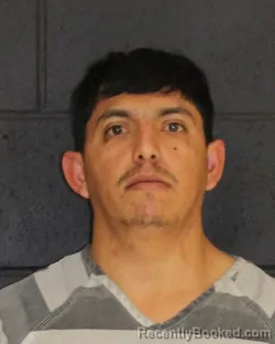 Mugshot of DIEGO ARMANDO GOMEZ-OLMEDO
