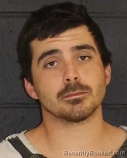 Mugshot of MICHAEL JESUS CALDERON