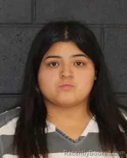Mugshot of GISELA ELIZABETH MELENDEZ