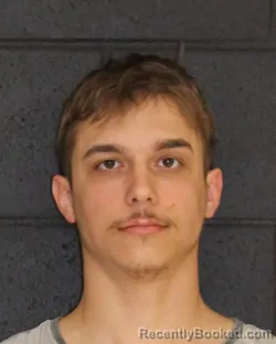 Mugshot of DAVID ALEXANDER MCCULLOCH