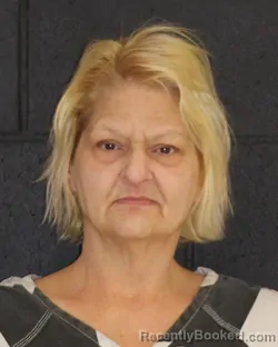 Mugshot of TERRI KAY COPLIN