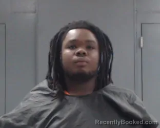 Mugshot of JERRY LEE WILLIAMS