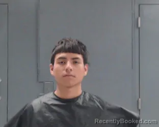 Mugshot of GUSTAVO ADOLFO MENDEZ