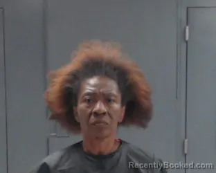 Mugshot of DIANA ANN SANDERS