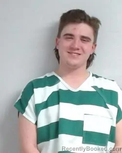 Mugshot of Whitman Dane Martin