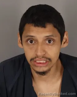 Mugshot of BRANDON CASTRO