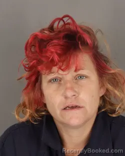 Mugshot of AMANDA RAMIREZ