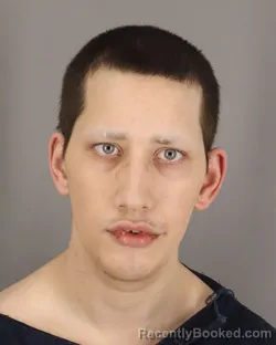 Mugshot of SHAWN HODGES