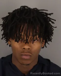 Mugshot of ROBERT DURANT