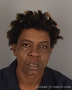 Mugshot of JENNIFER LEBLANCIS