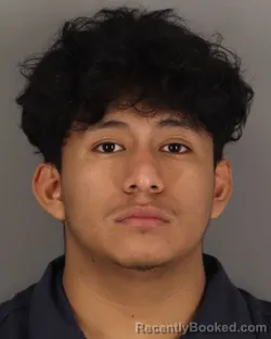 Booking photo from Jefferson County, Texas