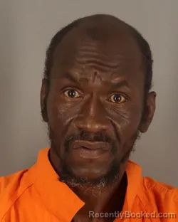 Mugshot of DAVID LEE