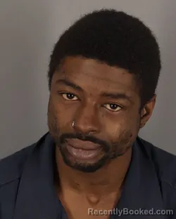 Mugshot of DEDRICK DAVIS