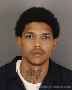 Mugshot of TYRIEK TURNER