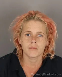 Mugshot of SUMMER PERRY