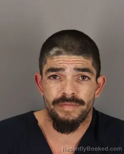 Mugshot of JESUS HERNANDEZ ALVAREZ