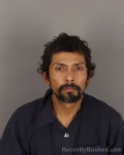 Mugshot of ROBERTO TREJO