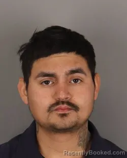 Mugshot of CESAR GARZA