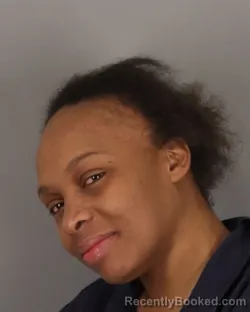 Mugshot of ASHLEY NEAL