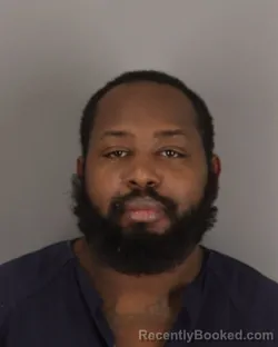 Mugshot of RONALD BARNES