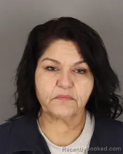 Mugshot of EVELYN MAYORGA