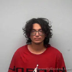 Mugshot of JOEL ORTIZ