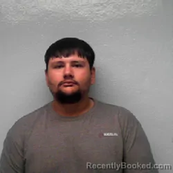 Mugshot of LOUIS ANTHONY PENA