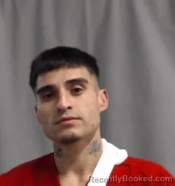 Mugshot of TRISTIN SCOTT VILLARREAL